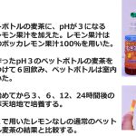 レス5番の画像サムネイル