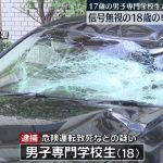 レス1番の画像サムネイル