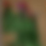 レス25番の画像サムネイル