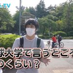 レス7番の画像サムネイル