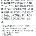 レス1番の画像サムネイル