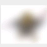 レス42番の画像サムネイル