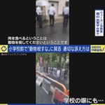 レス1番の画像サムネイル