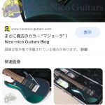 レス13番のサムネイル画像