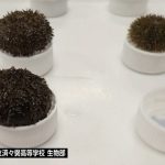 レス2番のサムネイル画像