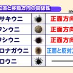 レス2番のサムネイル画像
