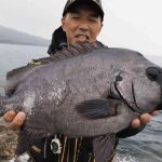 レス42番のサムネイル画像