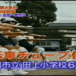 レス19番のサムネイル画像