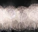 レス22番のサムネイル画像