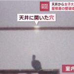 レス2番のサムネイル画像