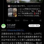 レス1番のサムネイル画像