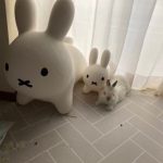 レス1番のサムネイル画像
