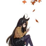 レス34番のサムネイル画像