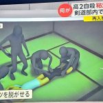 レス2番のサムネイル画像