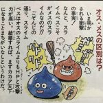 レス1番のサムネイル画像