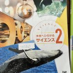 レス22番のサムネイル画像