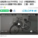 レス3番のサムネイル画像