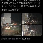 レス1番のサムネイル画像