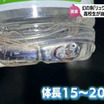 レス1番のサムネイル画像