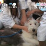 レス1番のサムネイル画像