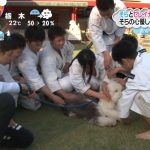 レス1番のサムネイル画像