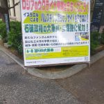 レス17番のサムネイル画像