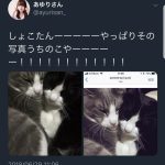 レス1番のサムネイル画像