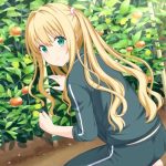 レス14番の画像9