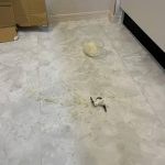 レス39番の画像1