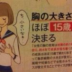 レス13番の画像1