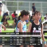 レス17番の画像1