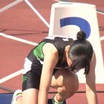 レス31番の画像1