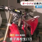 レス1番の画像2