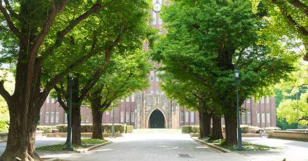 記事サムネイル