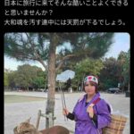 レス2番の画像1