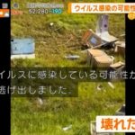 レス1番の画像3