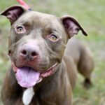 レス3番の画像4