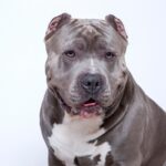 レス3番の画像3