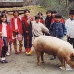 レス1番のリンク先のサムネイル画像