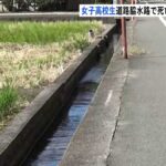 レス1番のリンク先のサムネイル画像