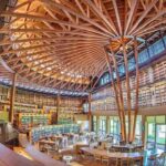 レス3番の画像1