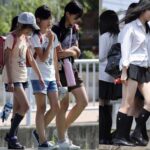 レス47番の画像1