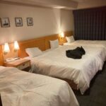 レス35番の画像1