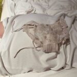 レス30番の画像1