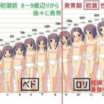 レス11番の画像1