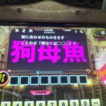 レス11番の画像1