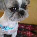 レス54番の画像1