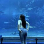 レス3番の画像6