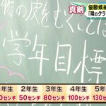 レス17番の画像5