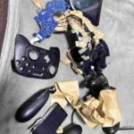 レス17番のリンク先のサムネイル画像